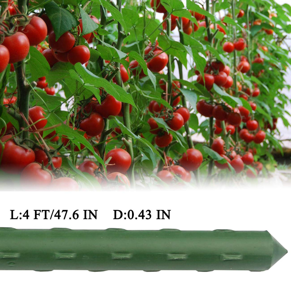 Sunnyglade 25 PCS 48" Plant Stakes Garden Tomato Sticks for Outdoor Plants