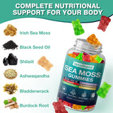 Sea Moss Gummies - Irish Sea Moss Gummies Advanced for Adults with Ashwagandha Bladderwrack & Burdock Root for Supports Immune，Energy - 60 Vegan Gummy,2PCS