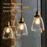TJOY 6 Pack A19 Vintage LED Edison Bulbs, Dimmable Light Bulb 60W Equivalent, High Brightness 2700K Warm White, 8W E26 Standard Base, 800Lumens, CRI80+, Clear Glass Filament Bulb for Home, Farmhouse