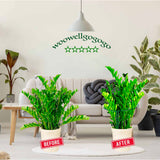 WooWellGoGoGo Snake Plant Support Stake - Half Round Peony Stake and Support, Heavy Duty Hydrangea Support Cage, Half Moon Houseplant Support Ring for Potted Indoor Plants (4 Pack, 14x8Inch)