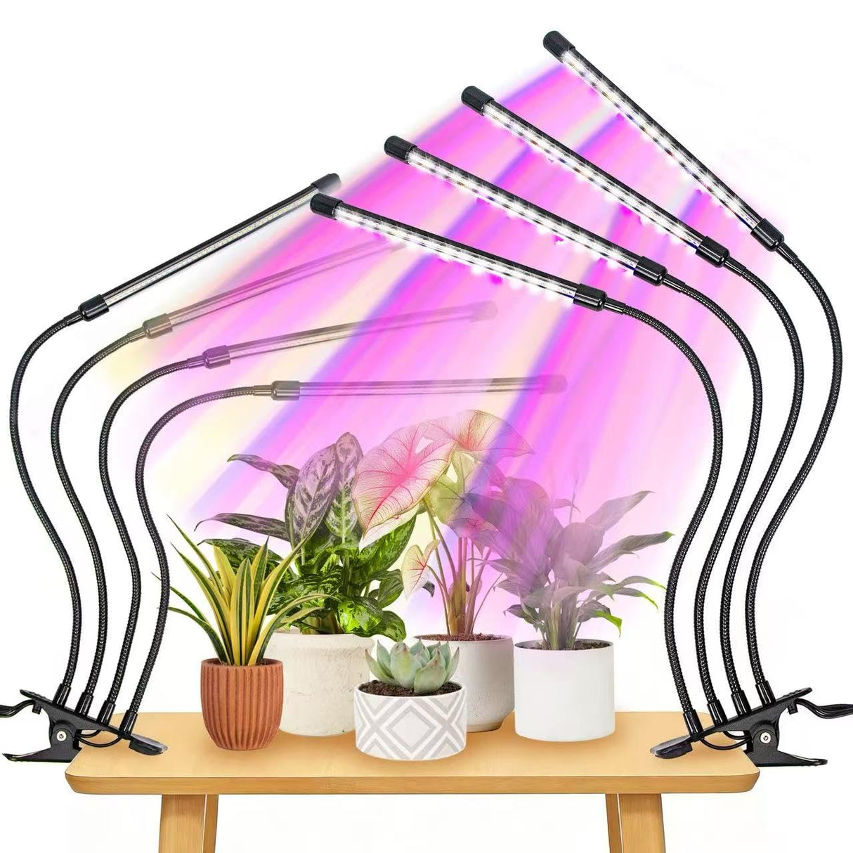 LED Grow Lights for Indoor Plants 2-Pack, Full Spectrum & Red Blue Spectrum Plant Growing Lamps with 3/9/12H Timer, 10 Brightness Levels, Clip-on Desk Plant Lights for Seedlings, Succulents, Flowers