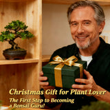 LUOJIBIE Bonsai Tree Kit - Unique Gift for Women, Men, Boys & Girls