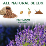 Lavender Seed Pod Kit, 8 Pod Kit (Include Seed Lavender/Chamomile/Holy Basil/Borage/Calendula/Mint) Fresh Tea Seed Pod Kit Compatible with Hydroponics