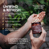 TRIBE ORGANICS Ashwagandha KSM 66 Pure Organic Root Powder Extract Ayurvedic Supplement - Focus Mood Support Increase Energy Strength 600mg of Natural KSM66 for Superior Absorption - 90 Capsules