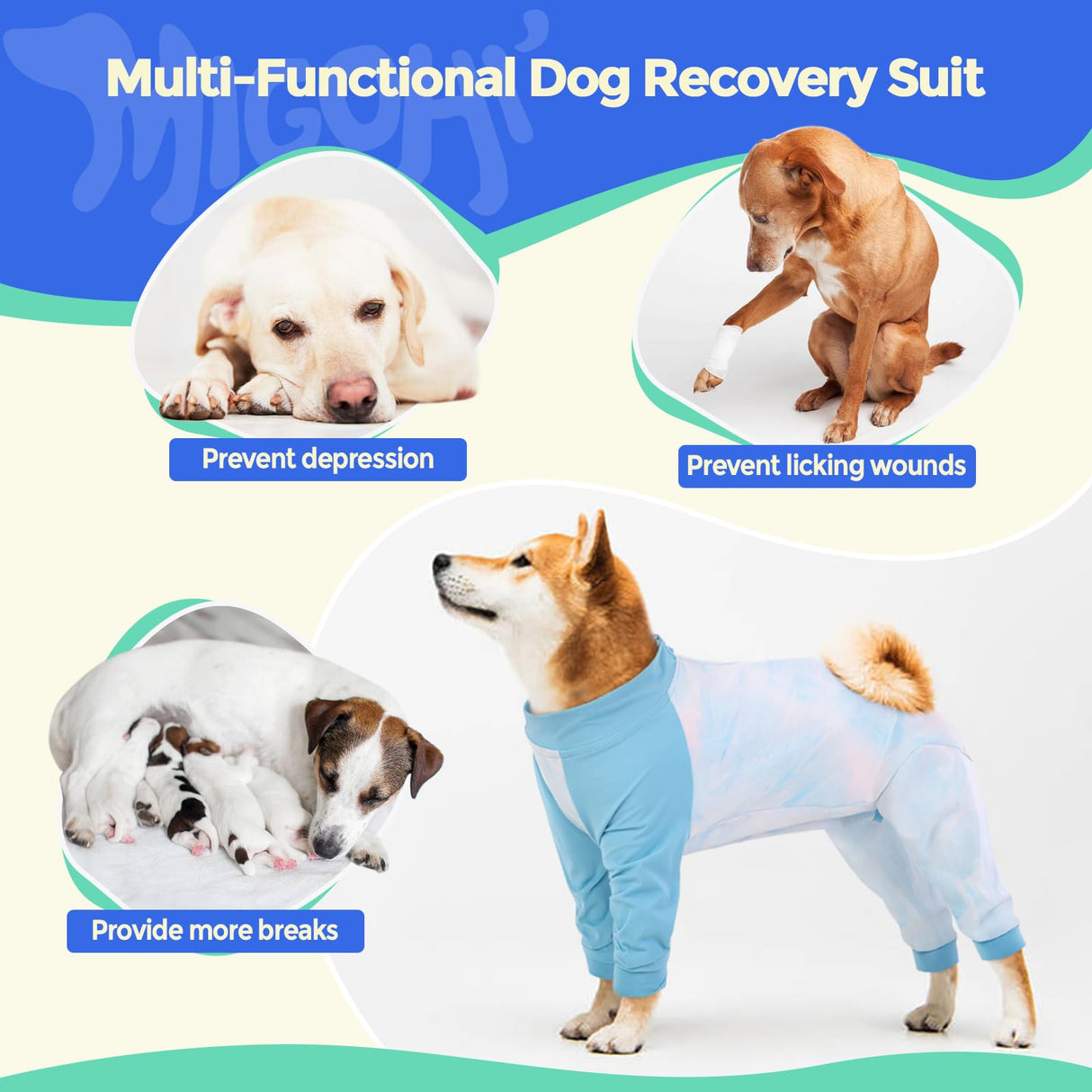 MIGOHI Full Body Dog Recovery Suit - Breathable Onesie for Female Male, Anti-Licking Pajamas, Surgery Suit for Large Dogs, XL, Blue