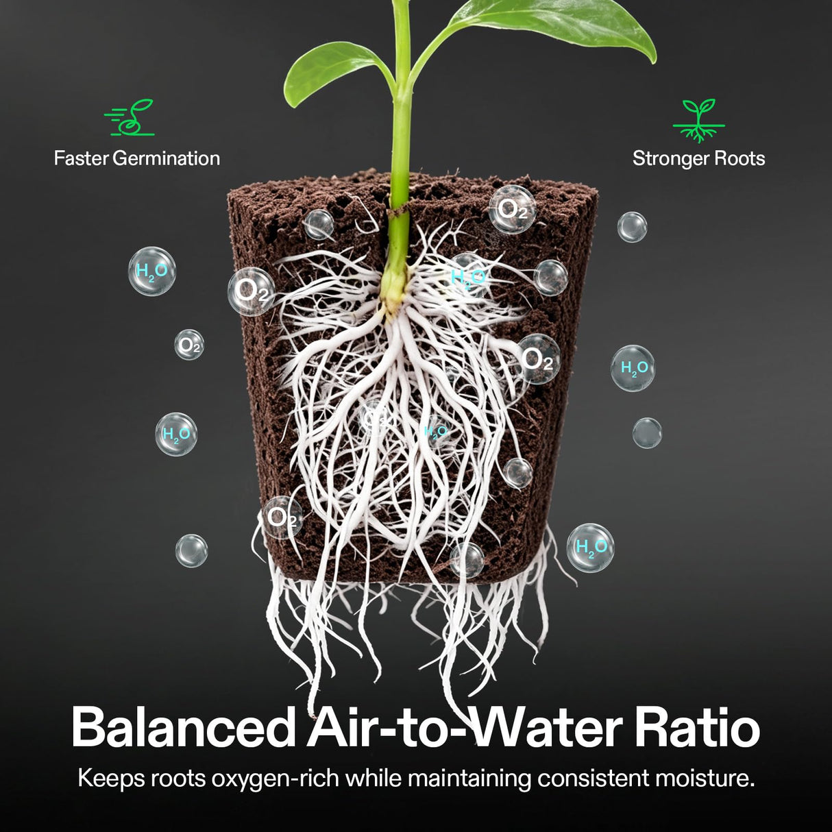 VIVOSUN Seed Rooter, Plant Starter Plugs, Support Robust Roots for Seedlings and Cuttings, 40 Cubes, Designed for VSeed Smart Box & Seed Starter Trays