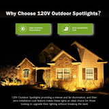 REEGOLD Outdoor Spotlight Warm White 2700K, 10W LED Spot Lights Outdoor for Yard Garden Tree, 120V Plug in Landscape Lighting with IP65 Waterproof for Halloween Christmas Decor, 4 Pack