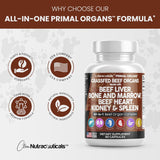 Clean Nutraceuticals Grass Fed Beef Liver Capsules - Premium Quality Supplement Packed with Desiccated, Beef Heart, Beef Spleen, Beef Pancreas Plus Bone & Marrow Dao Enzyme Pills