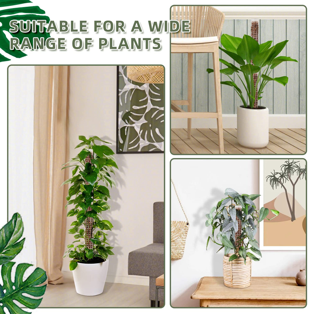 Small Moss Pole for Monstera - Stackable & Refillable Plastic Moss Poles for Climbing Plants with Large Mesh Design (12Pack-White-Small)