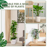 Small Moss Pole for Monstera - Stackable & Refillable Plastic Moss Poles for Climbing Plants with Large Mesh Design (12Pack-White-Small)