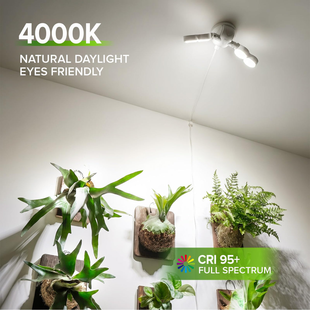 SANSI 30W Wall Mounted Grow Light – Dual Head Full Spectrum Plant Light with Remote, Programmable Timer, Dimmable 4-Level Brightness, 320° Wide Coverage, 4000K Natural Light for Indoor Plants
