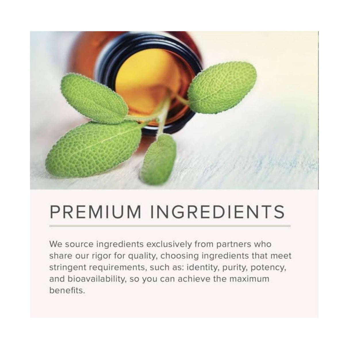 NusaPure French Maritime Pine Bark Extract 400mg per Veggie Caps 200-Day Supply Bioperine Non-GMO Vegan