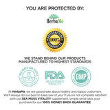 HerbaMe Organic Irish Sea Moss with Bladderwrack, Burdock Root & Black Pepper Extract, 150 Capsules, Thyroid Support, Natural Iodine Source, Promotes Immune System, Cell Food, Alkaline Supplement