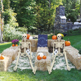 2 Pack 36in Posable Plastic Skeleton Halloween Decor - 3 ft Halloween Decor