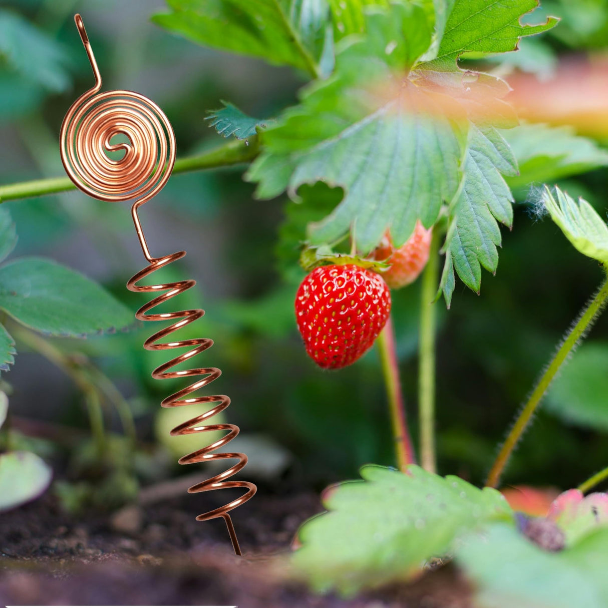 Premium Electroculture Copper Gardening Antenna Kit (3-Pack) – Tesla Coil Stakes for Vegetable Gardens, Houseplants & Indoor Flowers. Thick, 10-Gauge 99% Copper Wire, Eco-Friendly Growth Boosters
