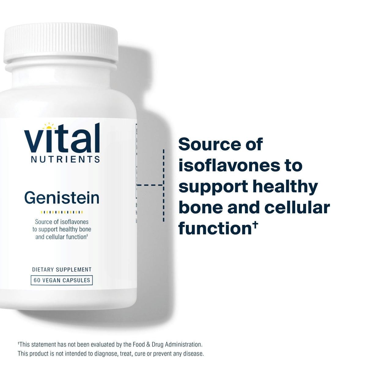 Vital Nutrients Genistein | Easily Absorbed Isoflavones for Bone Health Support* | Vegan Supplement | Gluten and Dairy Free | Non-GMO | 60 Capsules