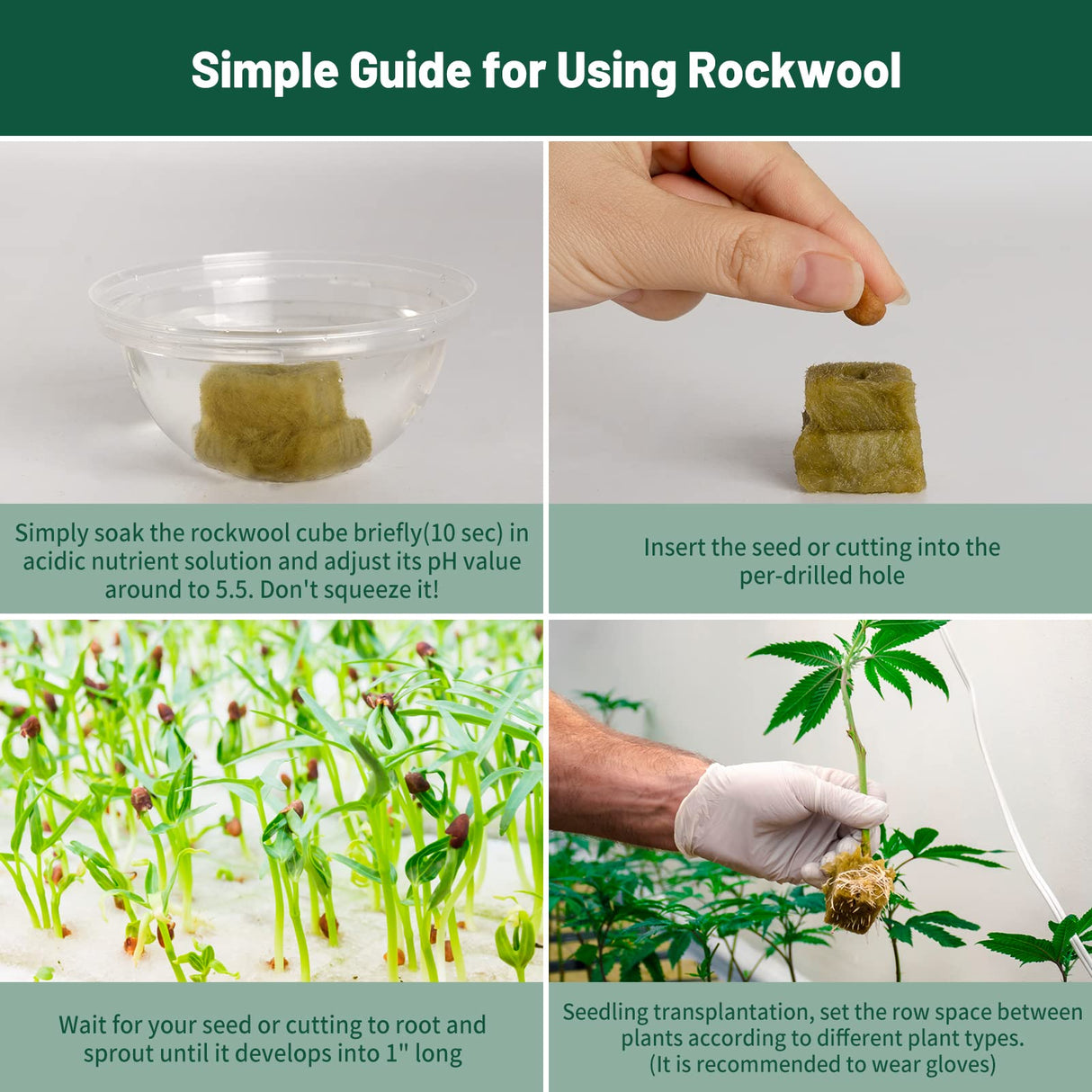 Jowlawn 1" Rockwool Cubes for Hydroponics 200 Plugs with 50 Pack 1.5 inch Net Pots Hydroponics Supplies Cups for Rooting, Clone Plants, Starting Seeds, Ideal Rockwool for Hydroponic Growing