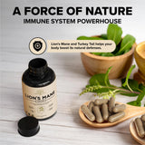 Garden of Herbz Lion’s Mane Mushroom Supplement Capsules with Turkey Tail – Mushroom Extract Blend, Non-GMO, 1200 mg per Serving, 120 Capsules