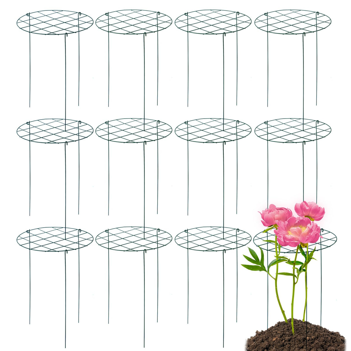 TIyneayle 12 Pack Peony Cages and Supports 16 x 24 Inch Grow Through Plant Support Peony Support Ring for Outdoor Plants