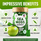 BioVit Sea Moss Gummies - Wildcrafted Irish Sea Moss for Adults & Kids - Seamoss Gel with Bladderwrack & Burdock Root Extract - 60 Vegan Gummies