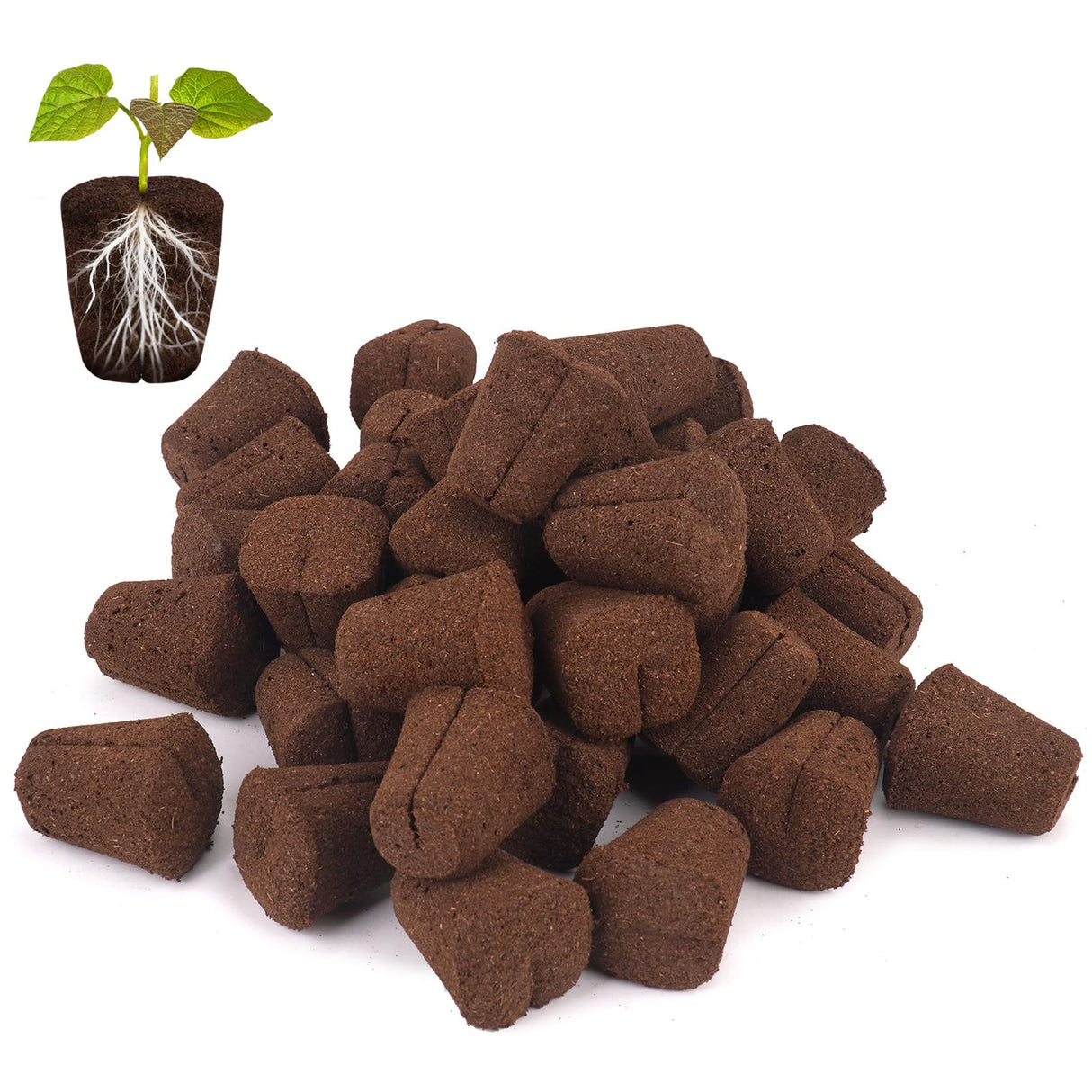 LAPOND 50 Pcs Grow Sponges,Replacement Plant Starter Plugs for Cuttings and Propagation,Great for Soil, Tray or Planting Pods, Promotes Herbs, Vegetables and Flowers Growth
