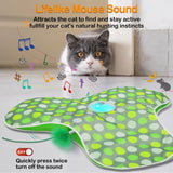 Interactive Cat Toys for Indoor Cats,Hide-n-Seek Game,Cat Enrichment Toy
