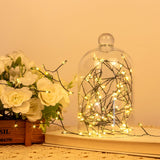 ZELUXDOT Firecracker Fairy Lights,33FT 300Leds Waterproof Twinkle Lights Plug in,8 Modes Remote String Light for Indoor Outdoor Christmas Wedding Birthday Patio Garden Decor,Green Wire,Warm White