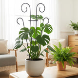 Thealyn 4 Pack 23 Inch Plant Trellis for Potted Plants