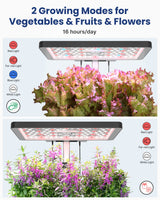 iDOO Hydroponics Growing System Kit 12Pods, Indoor Herb Garden with LED Grow Light, Built-in Fan, Auto-Timer, Adjustable Height Up to 11.3", for Home School Office, Gifts for Women Men Fathers