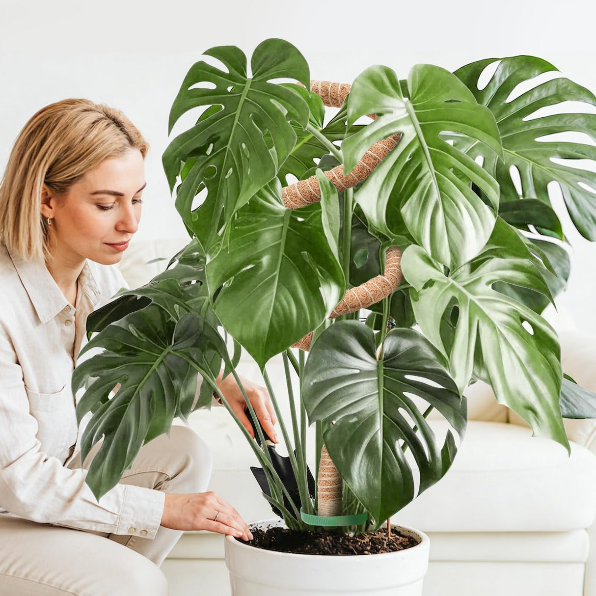 Moss Pole Monstera Plant Support 2 Pack 63 Inch Bendable Monstera Support