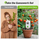 RAINPOINT Smart Digital Wireless Plant Moisture Meter Houseplant Indoor,WiFi Hub Needed,Capacitive Probe,Leave-in Soil Hygrometer Sensor,Real-time Monitor Outdoor Greenhouse Gardening(Two-Pack Set)
