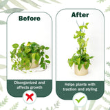 16Pack Stackable Plant Support Stakes, Monstera Plant Support