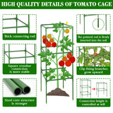 ZeeDix 6 Pack 60 Inch Heavy Duty Tomato Cages for Garden with Clips