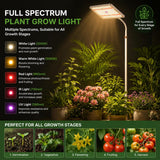 LED Grow Lights for Indoor Plants with Stand for Floor and Tabletop, Full Spectrum Plant Lights for Indoor Growing with Timer 4H/8H/12H, Grow Light with 3 Lighting Mode & 10 Dimmable Brightness.