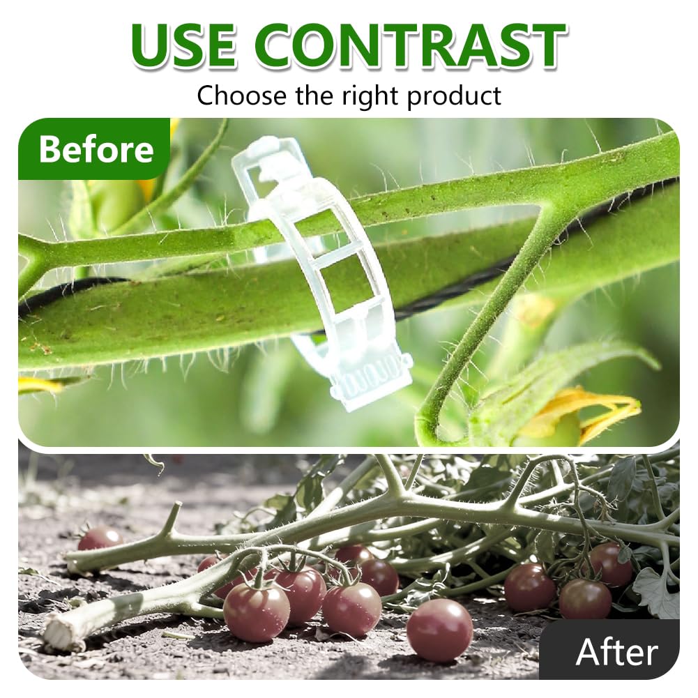 FXOICMI Plant Support Clips, Plastic Garden Fixing Clips for Climbing Plants Tomato Grape Vines, Greenhouse Garden Clips to Keep Plants Upright & Healthy (100, Green)