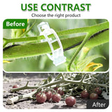 FXOICMI Plant Support Clips, Plastic Garden Fixing Clips for Climbing Plants Tomato Grape Vines, Greenhouse Garden Clips to Keep Plants Upright & Healthy (100, Green)