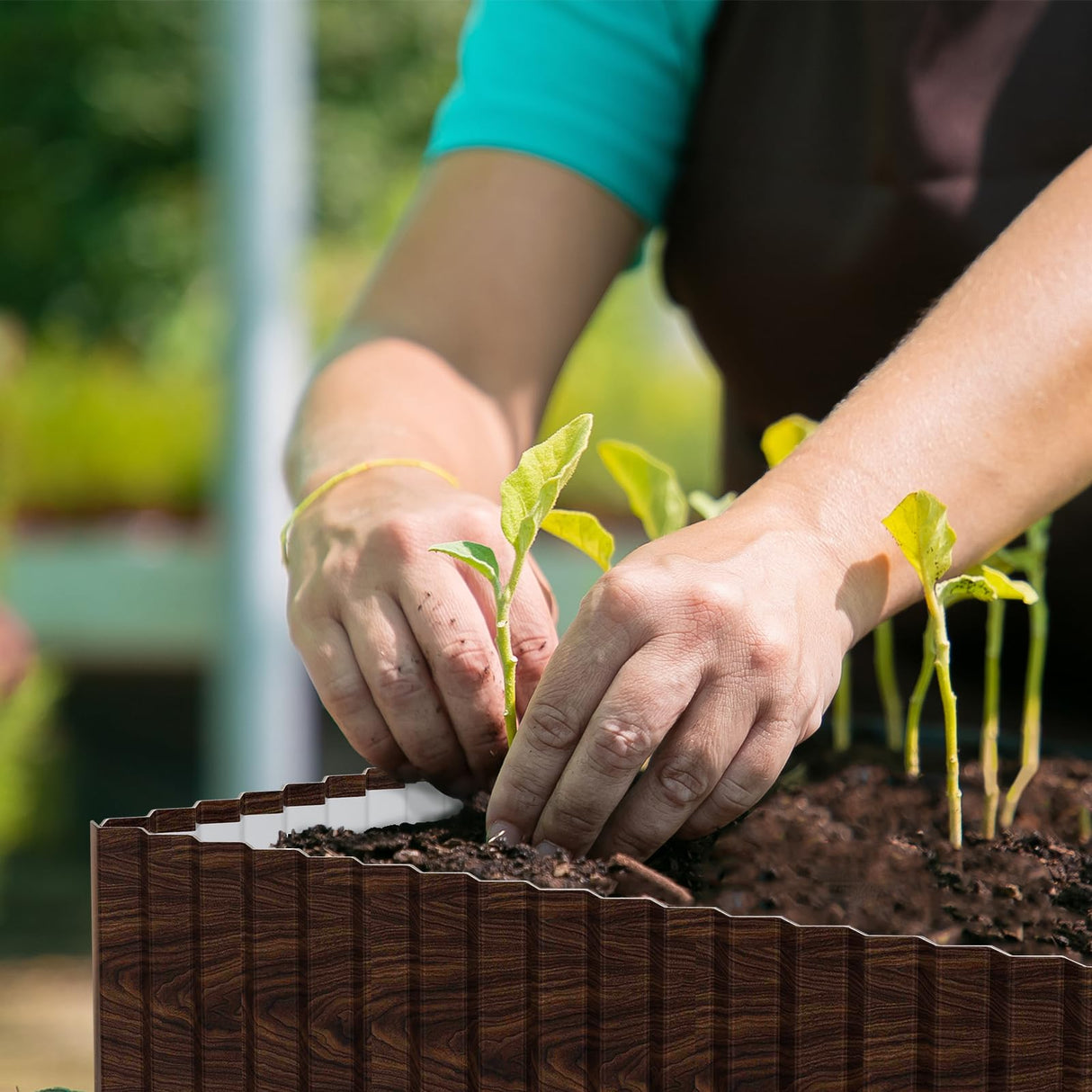 SnugNiture Corrugated Metal Garden Edging,6"×50'Sturdy Lawn Edging Border,Landscape Edging Border for Lawn, Flower Bed,Garden and Yard(Brown with White)