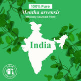 Handcraft Blends Peppermint Essential Oil in Glass Bottle - Huge 16 Fl Oz - 100% Pure and Natural - Premium Grade Essential Oil for Diffuser and Aromatherapy, and DIY Soap Making