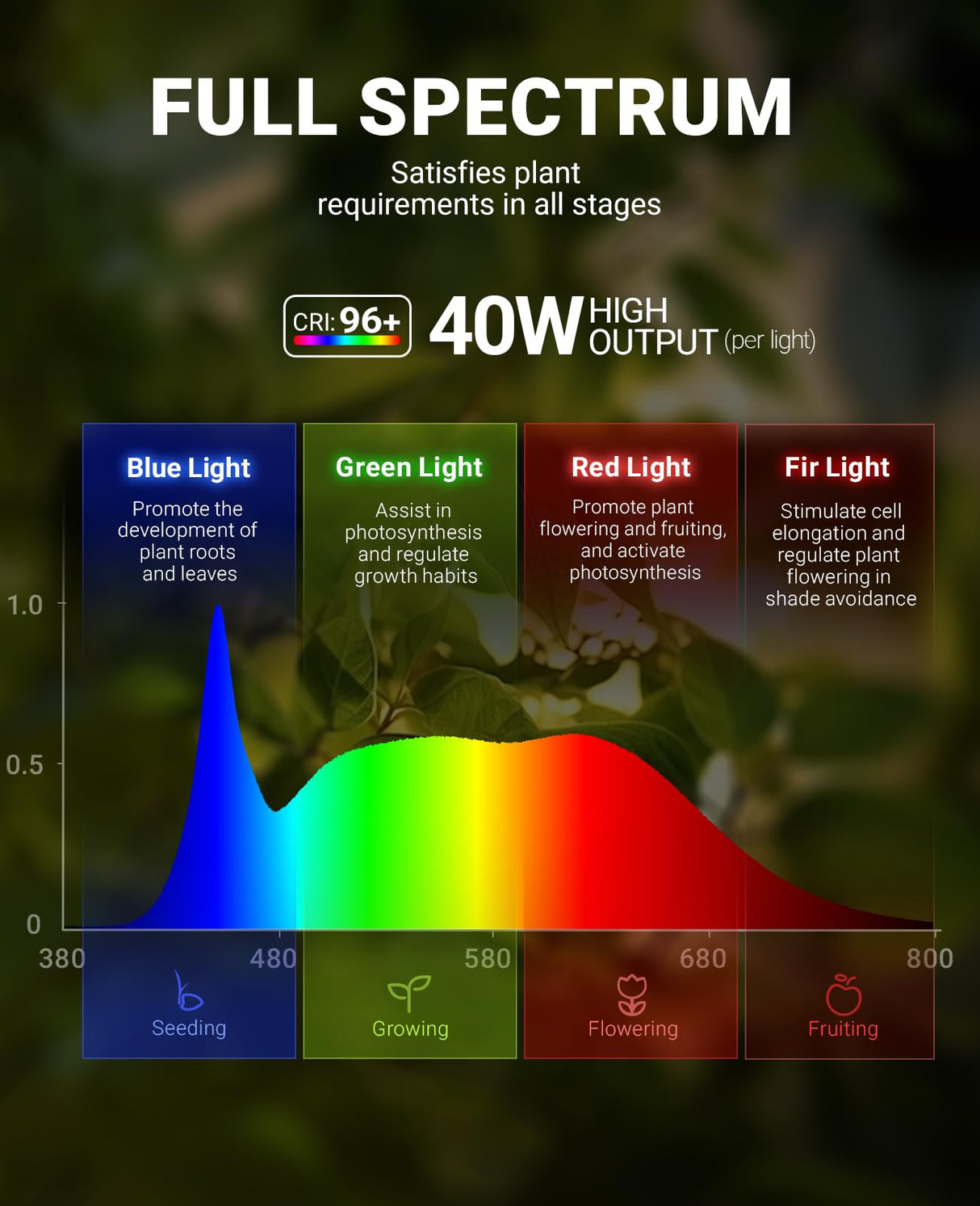 Barrina TR40a Track Plant Lights for Indoor Growing, 40W Ceiling Grow Lights with Adjustable Beam Angle (15°-60°), 5000K Full Spectrum Wall Plant Light with Timer for Greenhouse, Black Cover