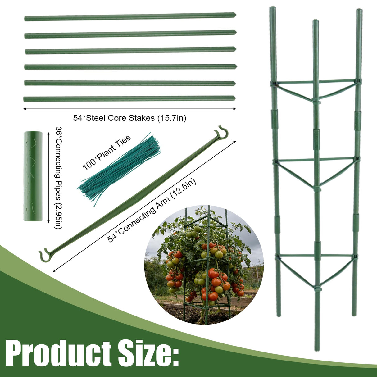 6-Pack 48'' (4ft) Tomato Cages & Trellis – Outdoor Garden Adjustable Plant Support & Stakes for Home Gardeners, Raised Garden Beds & Patio, Supports Climbing Tomatoes, Vegetables & Flowers