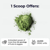 Paradise Herbs, ORAC Energy Greens Powder, Antioxidant Power of 24 Servings of Fruits & Vegetables in 1 Scoop, 120 Servings
