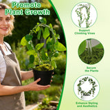 6 Pack Plant Trellis for Hoya Pothos, 3 U-Shaped & 3 Round Indoor Plant Trellis, Rustproof Acrylic Climbing Plant Support for Vines Flowers Potted Plants