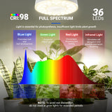 Barrina Orbgrow OG03C Rechargeable Puck Grow Light, 4000K, Cordless Full Spectrum Plant Light for Indoor Plants, Magnetic & Touch Switch with Timer, Small Grow Lamp for Plant Shelf, 1 Pack, White