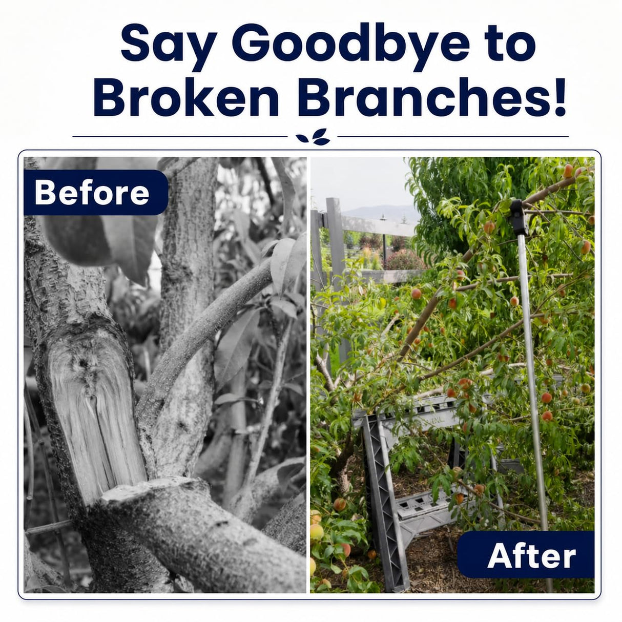 Tree Branch Crutch – Prevent Broken Limbs - Pole Sold Separate (2-Pack)