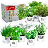 Deluxe Indoor & Outdoor Herb Garden Kit – 8 or the Most Popular Culinary Herbs with Pots & Soil for Windowsill or Patio Growing