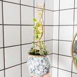 Yohsnor 3PCS DNA Plant Trellis Indoor & Outdoor,Metal Trellis for Pots