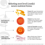 HCF A20 Microbead Brain Health Supplements for Adults for Memory, Focus, Calm, Mood, Alertness, Attention, Vision, Sleep, Immune System, 20 Premium Nootropic Nutrients Multivitamin & 7 Advances® Tech