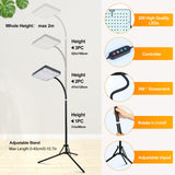 FECiDA 2026 Grow Lights with Upgraded Stand, Standing Grow Lights for Indoor Tall Plants, Bonsai Tree, 4/8/12/16/20 Hr Timer, 25 Watt Power Draw, NO Need Adapter, 24"-76" Height Adjustable