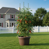 G-LEAF 6 Pack 5ft Tomato Cage for Garden Plant Support, Garden Stakes Tomato Cage, Tomato Cages Plant Stakes for Climbing Plants