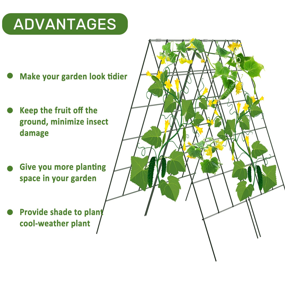AGTEK 2 Packs 18" x 46" Foldable Cucumber Trellis for Cucumber, Climbing Plants, Vegetable Flowers